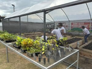 5ae46c2b-5662-4982-8455-e986f8ac74a2-300x225 Araruama recebe 7ª Edição do Programa Agricultura Social com atividades gratuitas