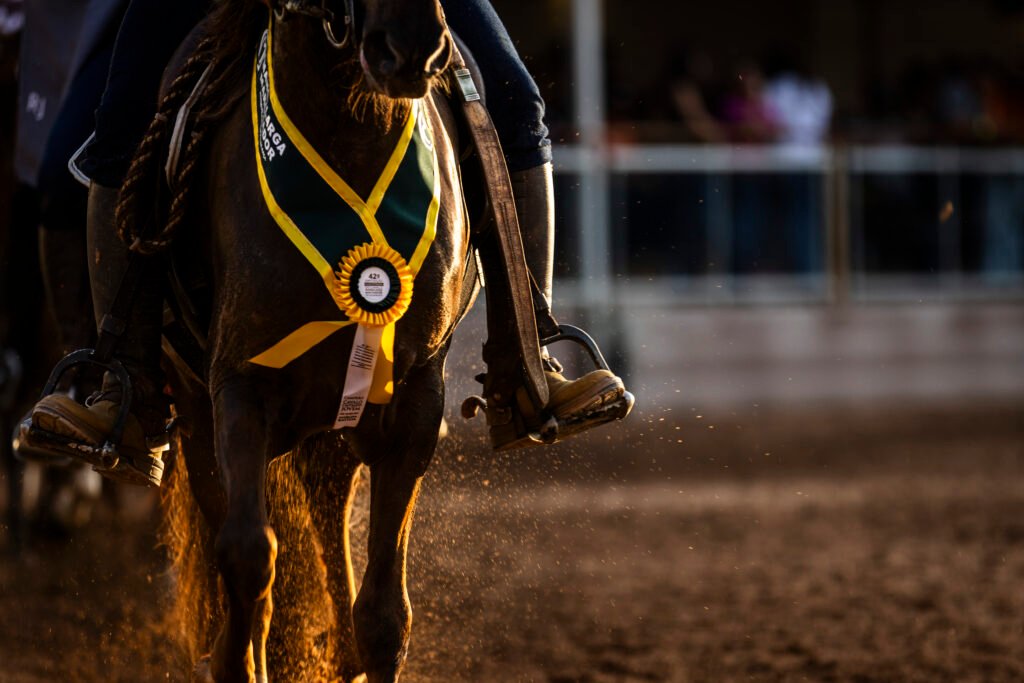 1770223736-1024x683 Home