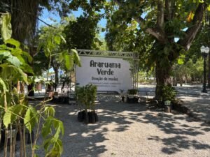 69e934d0ddde8rnoc6_larg-300x225 Mais de 430 mudas são doadas em Araruama