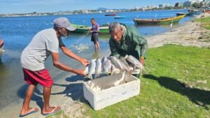 WhatsApp-Image-2026-04-02-at-11.39.24-300x169 Tainha da Lagoa de Araruama pode ganhar Indicação Geográfica